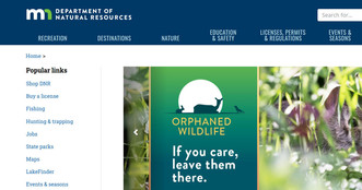Screenshot of Minnesota Department of Natural Resources home page.