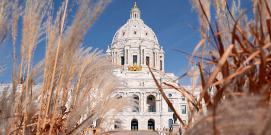 State of Minnesota's capitol building, viewed through ornamental grass.
