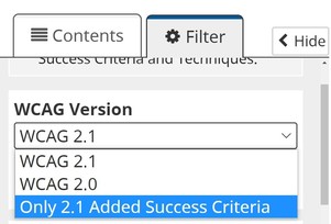 Filter tab, WCAG Version dropdown. Only 2.1 Added Success Criteria has focus.