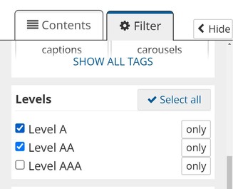 Filter tab, Levels section, Level A and Level AA checkboxes are selected. Level AAA is not.