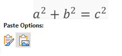Equation with paste options: paste as picture icon highlighted.