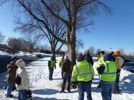 Apple Valley EAB Workshop