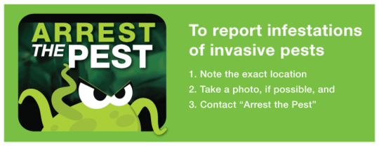 Arrest the Pest logo