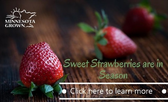 Strawberry season has arrived! This article provides dates and picking tips from MN Grown members