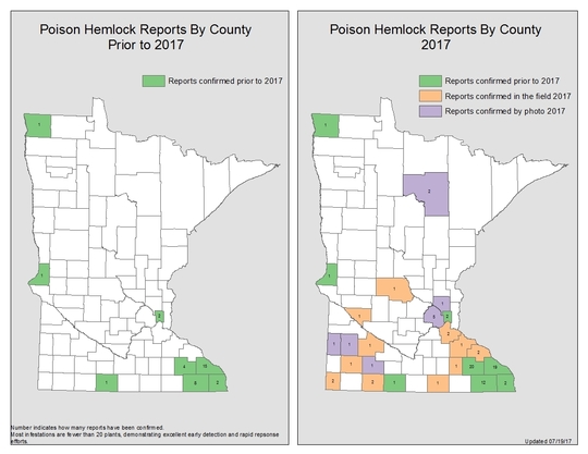 Poison hemlock map