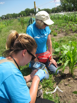 Assessing plants in garden