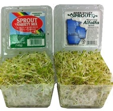 river valley sprouts recall
