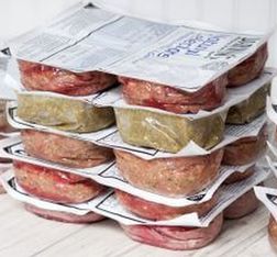 Darwins Natural pet food recall