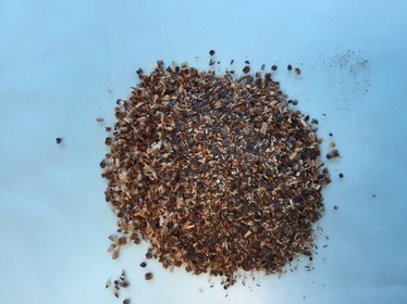 A pile of seed