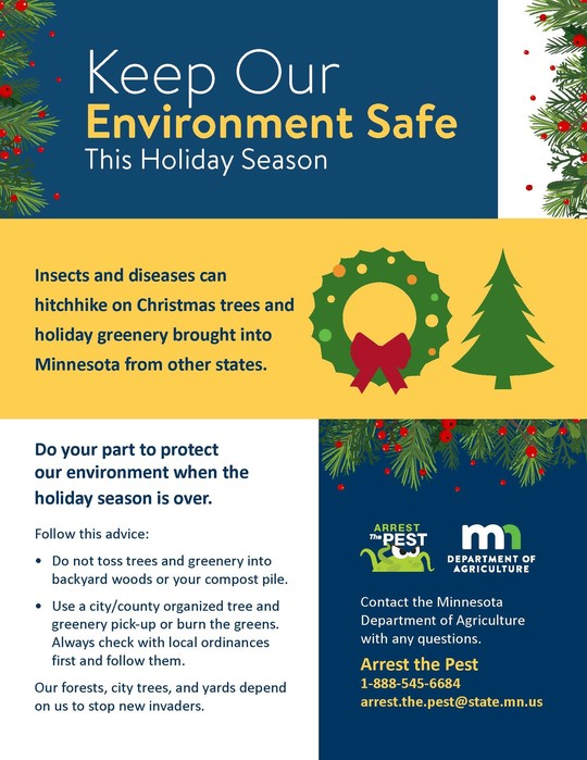 Keep Our Environment Safe This Holiday Season poster