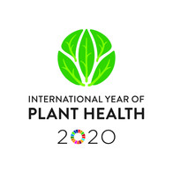 International Year of Plant Health logo