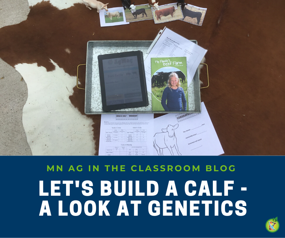 Build a calf blog post