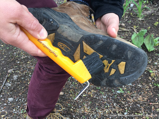 A person using a boot brush on dirty boots