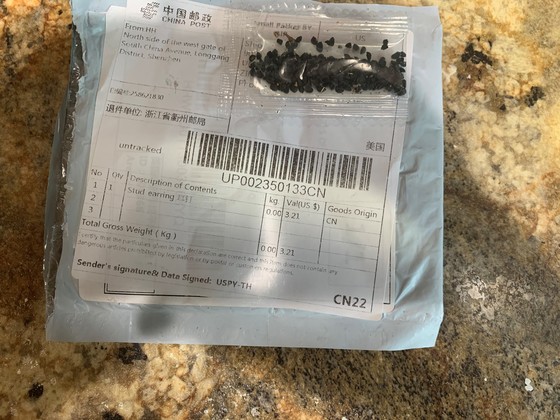 A package of mystery seeds
