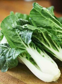 bok Choy