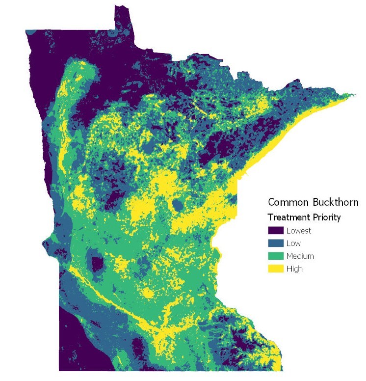 Map show prioritization for common buckthorn treatments. 