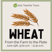Wheat tour