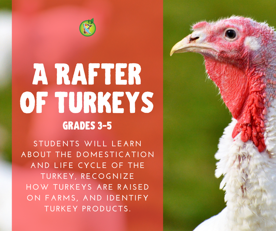 A Rafter of Turkeys