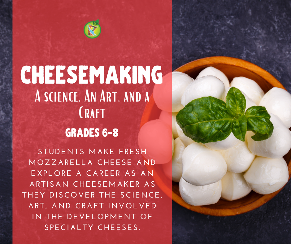 Cheesemaking lesson