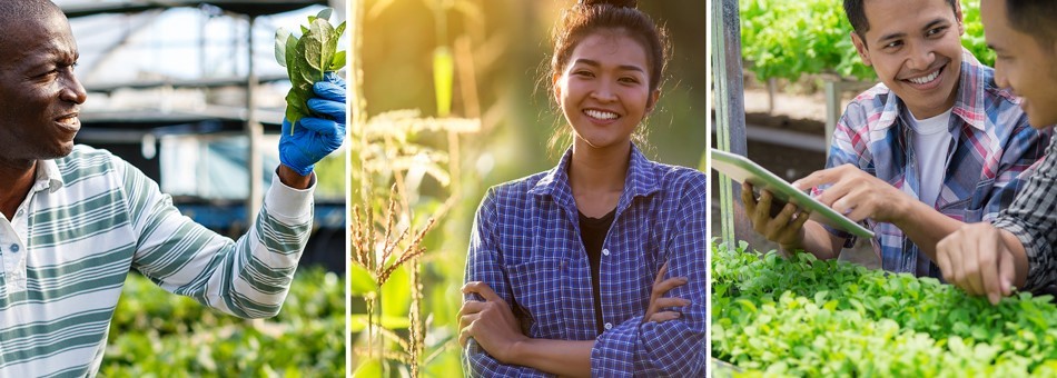 Photo of Three Emerging Farmers