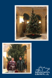 Christmas Tree at the Capital Rotunda 2021