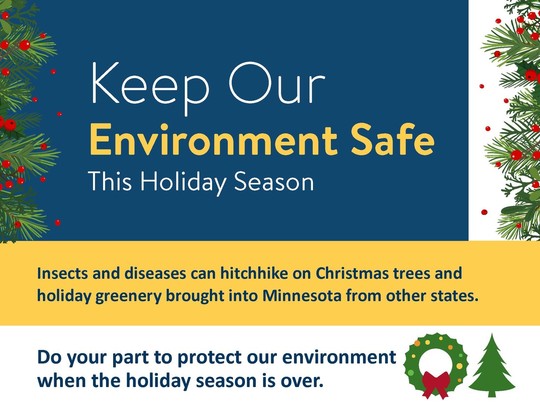 Poster about holiday greenery and tree disposal