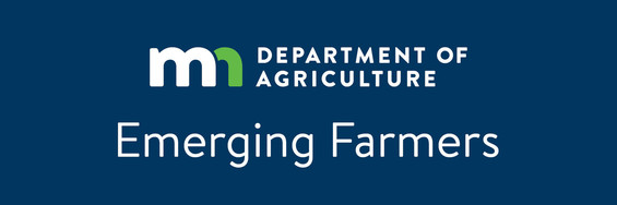 Newsletter Header Graphic