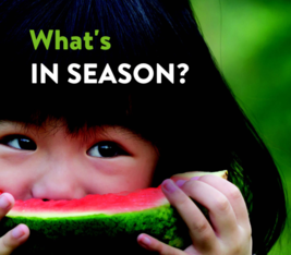 What's in Season?