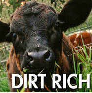 Dirt Rich podcast logo
