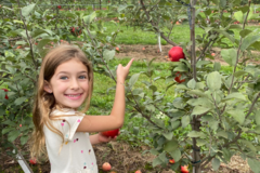 Child at apple orchard