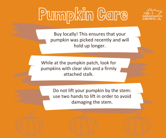 Pumpkin Care Tips