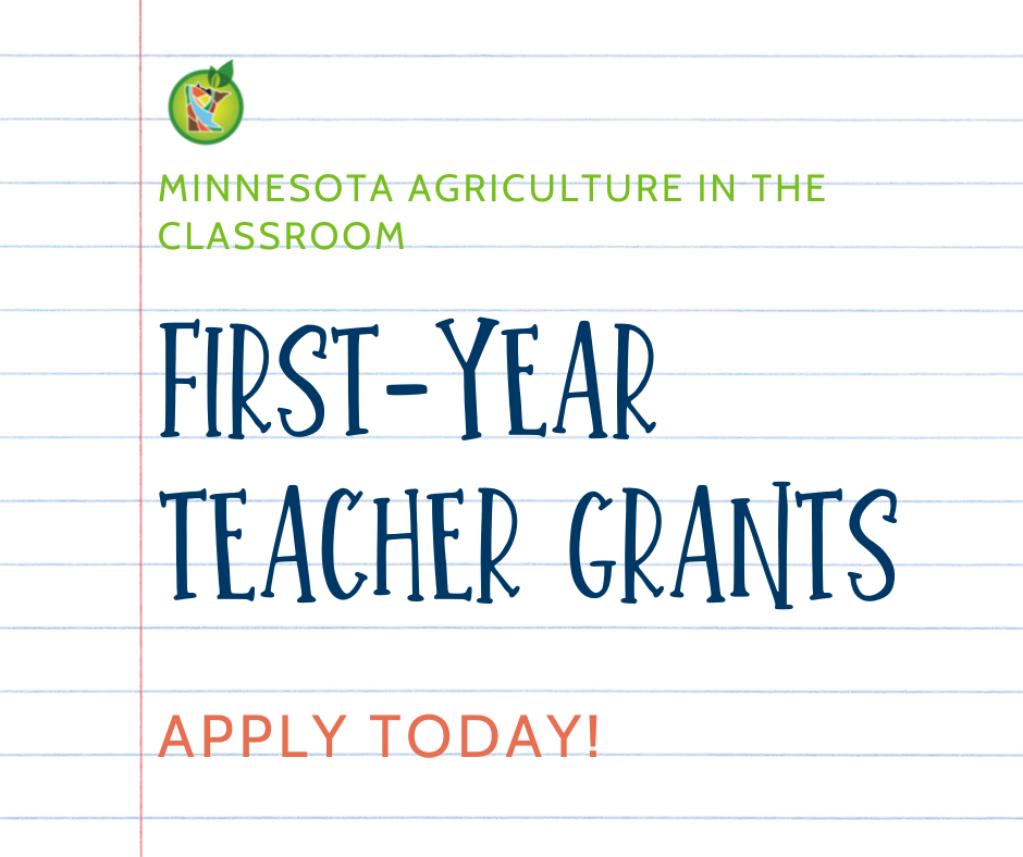First-year teacher grants