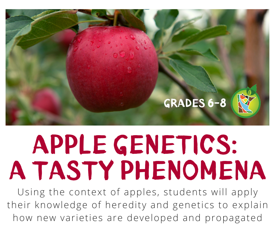 Apple genetics