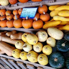 A display of winter vegetables from The Greensted.