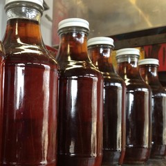 A row a bottles filled with dark brown maple syrup.