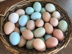 A basket of eggs in natural shades of pastel green, blue and peach.