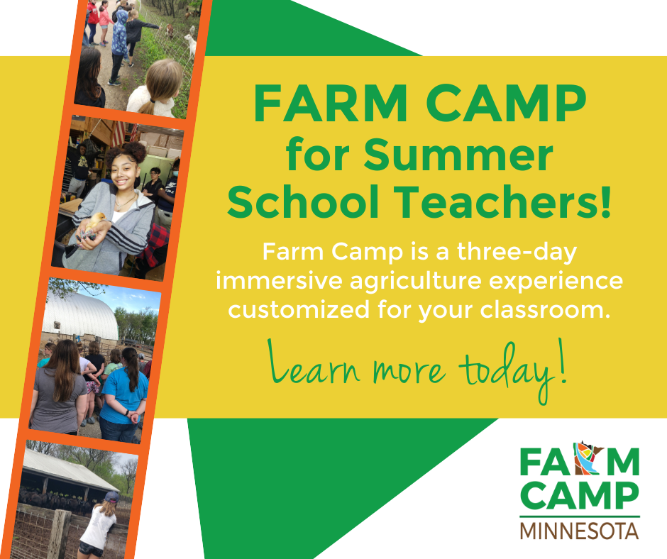 Farm camp - summer school