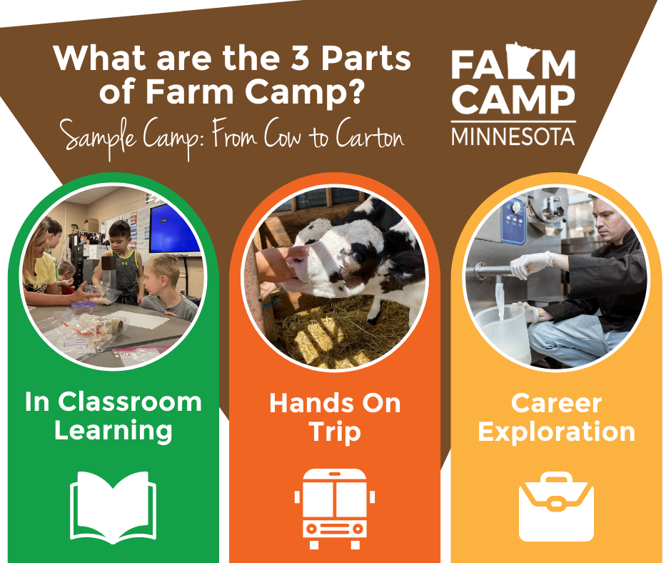Farm Camp MN Experience