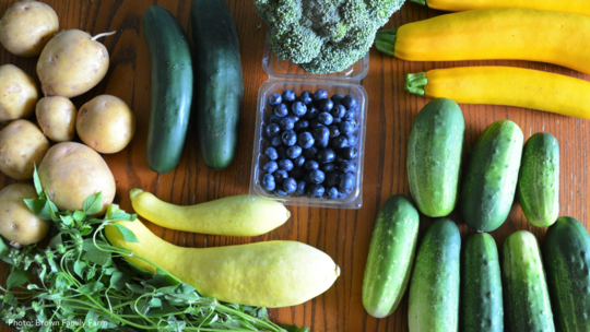 Banner with July vegetables and blueberries