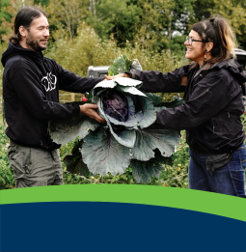 A man and woman in a field holding a large cabbage.