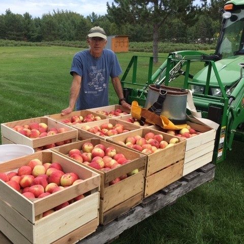 Stuart Lavalier in a blue t-shirt and green baseball cap standing behind a pallet topped with crates filled with apples.