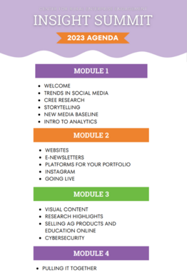 CREE Insights Summit 2023 Agenda