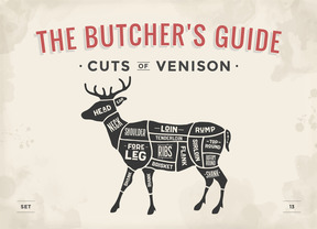 Cuts of venison