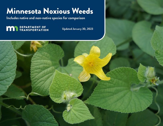 Cover of the MN DOT noxious weed book