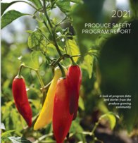 Screenshot of the cover of the 2021 Annual Report