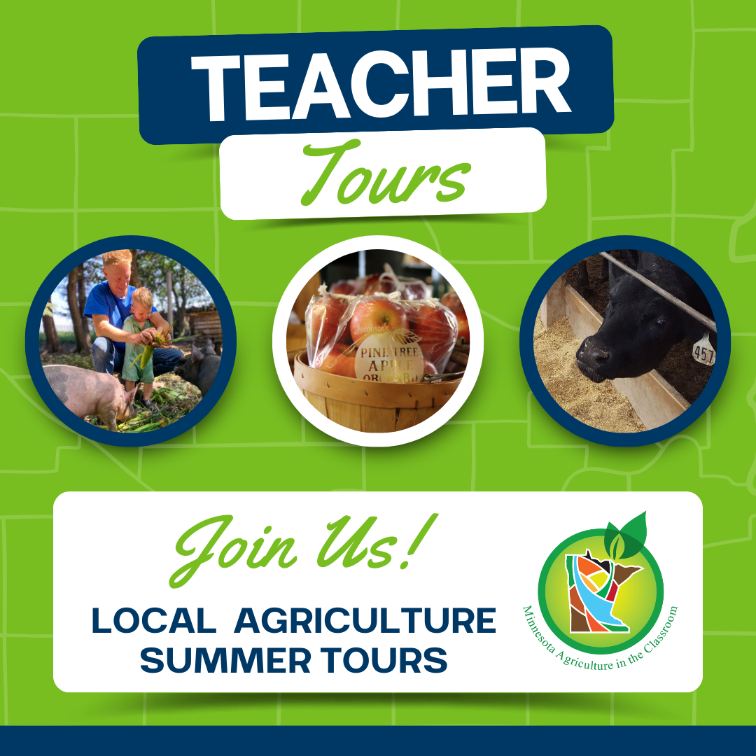 2024 Summer Teacher Tours