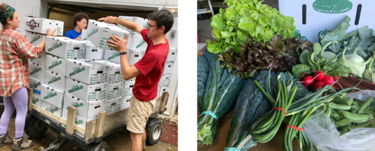 A photo of CSA produce boxes being loaded onto a truck, and a photo of a CSA box with its contents.