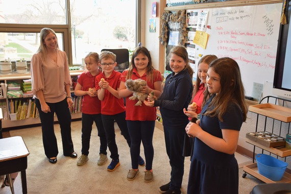 Carrie Allord and students with chicks
