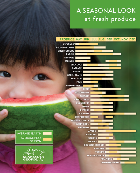 A chart of when produce is in season in Minnesota by month.