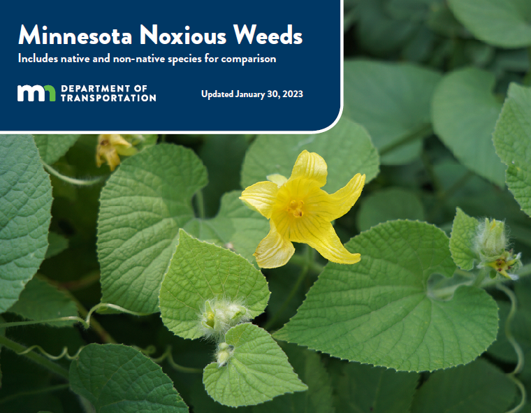 Minnesota Department of Transportation noxious weed book cover